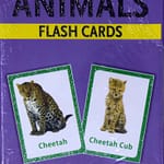 Flash Card - Animals
