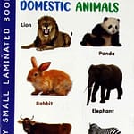Wild Animals & Domestic Animals Book